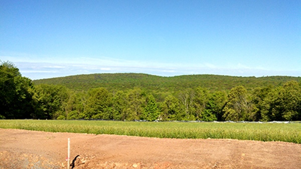 Middletown Available Home
