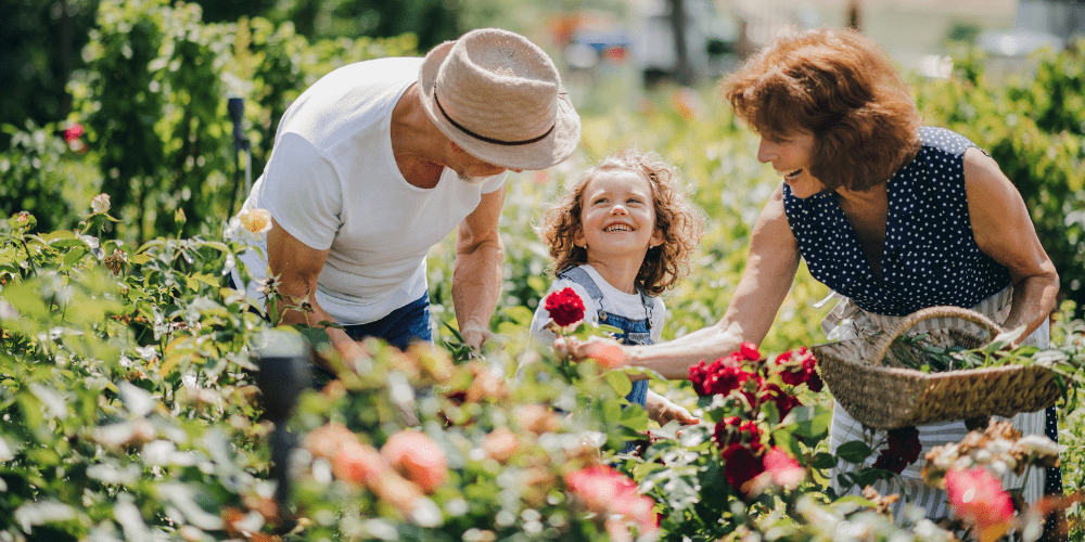 Family garden | Sunwood Home Builders and Remodelers