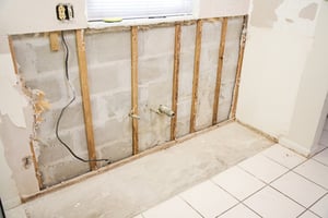 Homeowner Nightmares Dealing With Mold Homeowner Nightmares Dealing With Mold Jpg