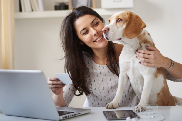 Make your Middletown CT home Dog-friendly